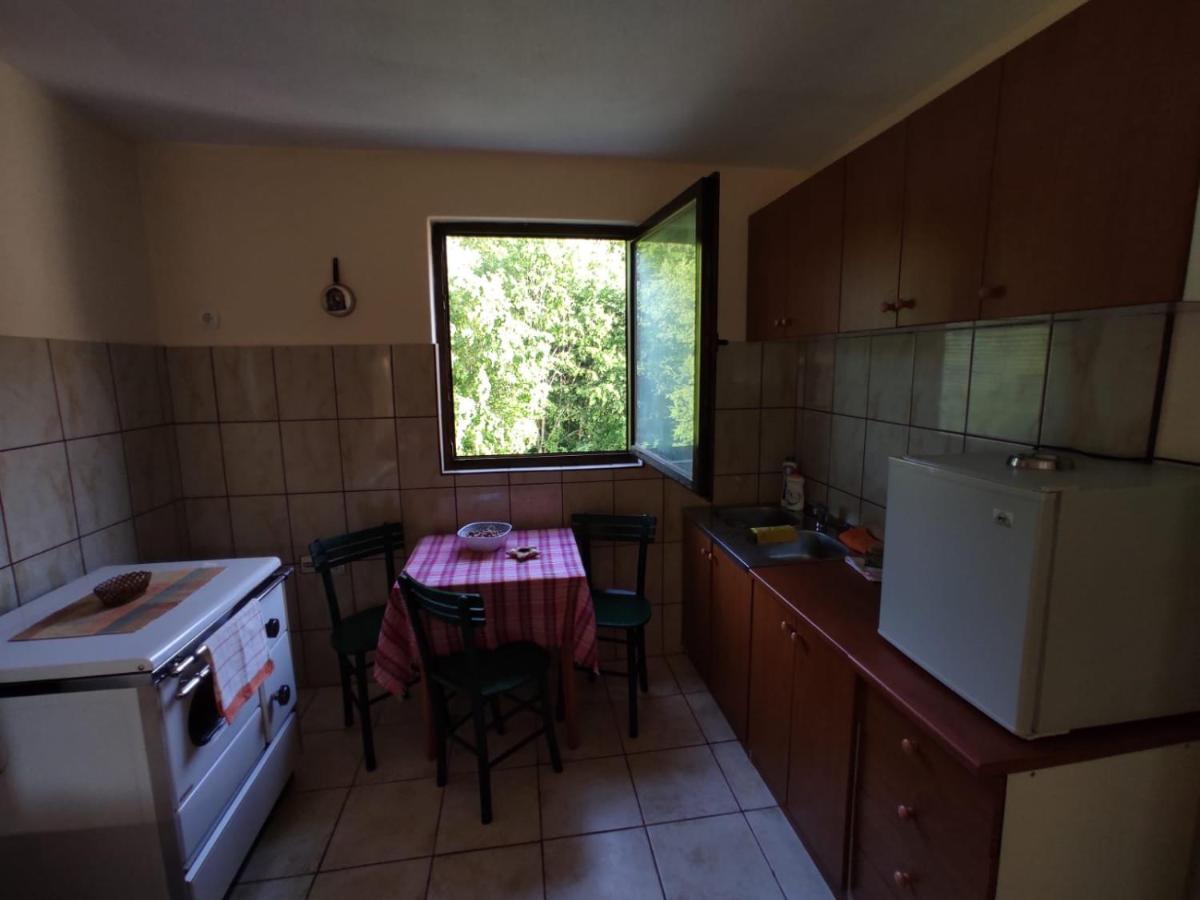 Apartmani Jana Bijelo Polje Ngoại thất bức ảnh