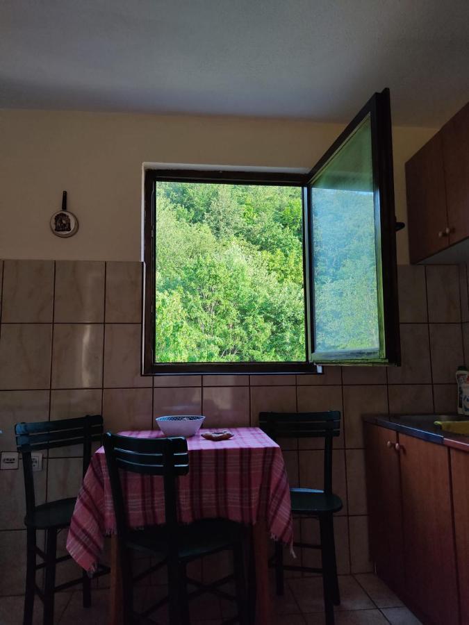 Apartmani Jana Bijelo Polje Ngoại thất bức ảnh